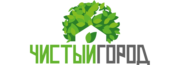 Чистый город Брянск